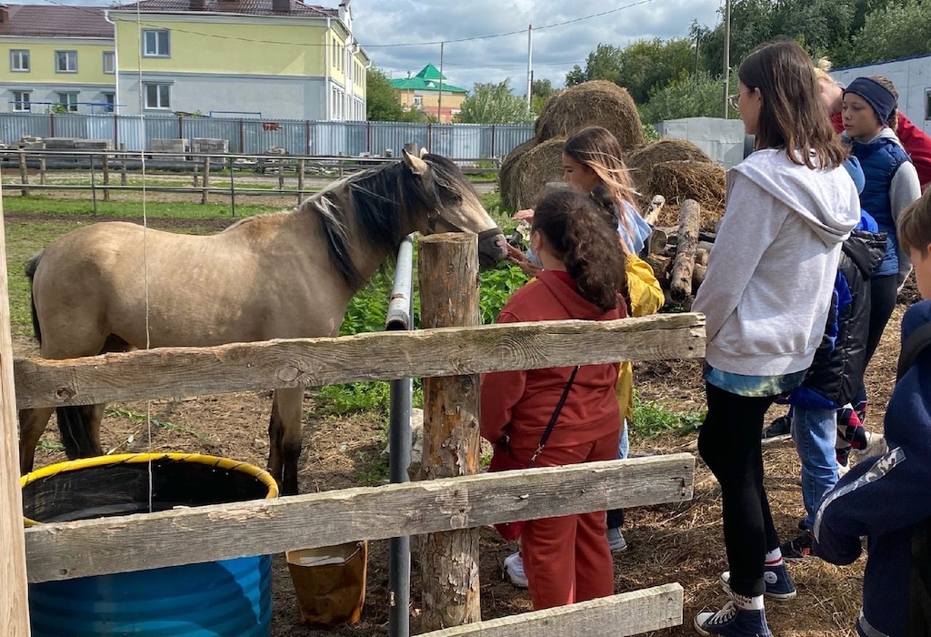 Юные тоболяки посетили конный клуб «Конек-горбунок»